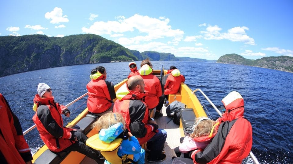 Croisière Fjord et Baleines